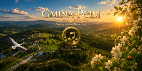 PCIM W MUZYCE